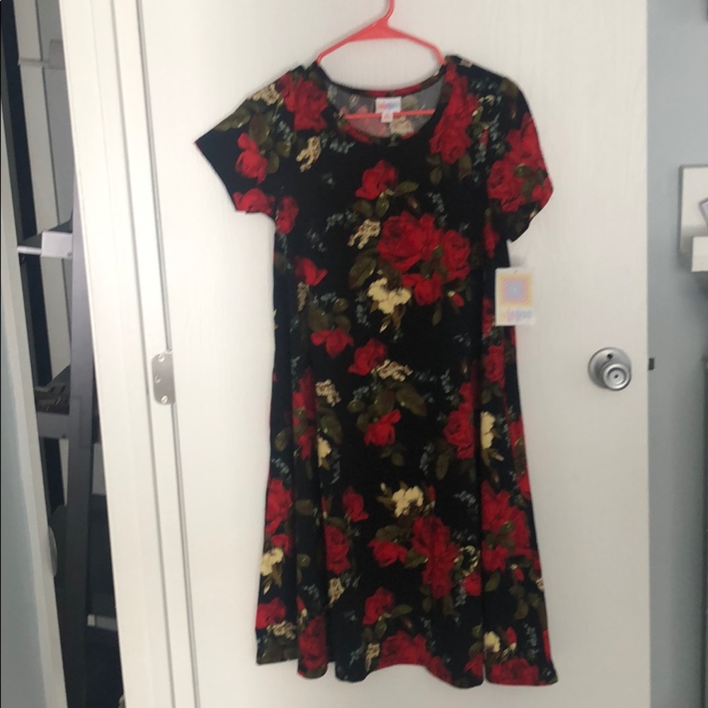 Lularoe XS Jessie